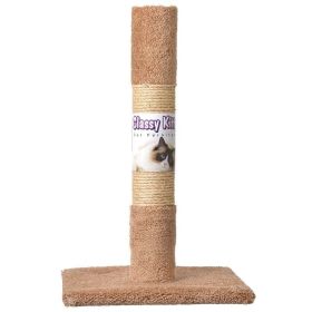 Classy Kitty Cat Decorator Scratching Post - Carpet & Sisal - 26in. High (Assorted Colors)