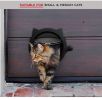 Pet cat door free access to the doorway suitable for installation of glass doors wooden doors iron doors - Cat Doors-black