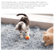 Cat Toys Self-Hi Bore Relief Ball Funny Cat Intelligent Automatic Plush Ball - Red