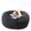 Cat bed - Default