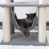 Cat Tree 52 Inches Multi-Level Modern Wooden Cat Tower with Hammock and Scratching Posts and Cat Condo for Adult Cats Gray - as Pic