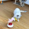 New Durable Funny Pet Cat Toys for entertain itself Mimi Favorite Feather Tumbler with small bell Kitten Cat Toys For Catch - yellow