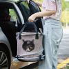 3 in 1 Cat Bed, Foldable Tunnel Pet Travel Carrier Bag Toy Bed with Plush Balls - Default