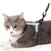 Touchcat 'Radi-Claw' Durable Cable Cat Harness and Leash Combo - Pink - Small