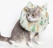 Touchcat 'Ringlet' Licking and Scratching Adjustable Pillow Cat Neck Protector - Pink - Small
