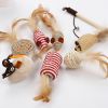 Cat Natural Sisal Wand Teasers and Exerciser for Kitten with Mouse Bell Feather etc. Cat Toy Collection in a Box - sisal