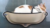 Pet Life 'Gravity-Lounge' Suction Cup Kitty Cat Lounger and Bed - Blue