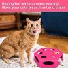 FluffyDream Interactive Cat Maze Box Toy, Electrical Exercise Teaser Toy with - Default