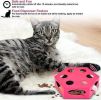FluffyDream Interactive Cat Maze Box Toy, Electrical Exercise Teaser Toy with - Default