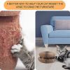 FluffyDream Magic Organ Cat Scratching Board, Interactive Scratch Pad with a - Default