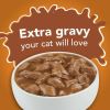 Purina Friskies Extra Gravy Chunky Wet Cat Food Variety Pack, 5.5 oz Cans (24 Pack) - Friskies
