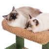 Cat Tree 41 Inches Cactus Tower with Sisal Covered Scratching Post and Cozy - Default
