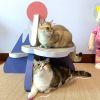 ScratchMe Cat Scratcher Post Board; Mount Fuji Shape Cat Scratching Lounge Bed; Durable Pad Prevents Furniture Damage - as Pic