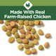Purina Cat Chow Indoor Hairball & Healthy Weight Chicken Dry Cat Food 20 lb Bag - Cat Chow