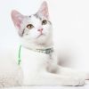 Touchcat Lucky Charms Designer Cable Necklace Cat Collar - Green