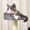 Cat Tree Sisal-Covered Scratching Post and Pad, Cat Activity Center for Kittens RT - Gray