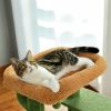 Unique Cactus Cat Tree Cat Tower with Sisal Covered Scratching Post, Cozy Condo, Plush Perches, Hanging Toy and Climbing Ladder - as picture