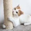 3-Tier Cat Tower with 2 Napping Perches, Cat Condo, 2 Sisal Rope Scratching Posts, and Hanging Toy â€šÃ„Ã¬ Cat Tree for Indoor Cats by Petmaker (Brown) -