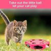 FluffyDream Interactive Cat Maze Box Toy, Electrical Exercise Teaser Toy with - Default