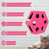 FluffyDream Interactive Cat Maze Box Toy, Electrical Exercise Teaser Toy with - Default