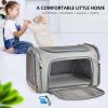 Pet Carrier for Cats, Dogs and Puppies, Gray, (Suitable For Daily Travel), 22 Lbs - Gray