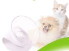 Cat Food Bowl Pet Feeding Bowl Elevated Feeder Bowl with Non-Slip Rubber Base - green