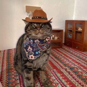Cat Decorative Hat Pet Headwear Western (Option: Star hat navy blue scarf-M)