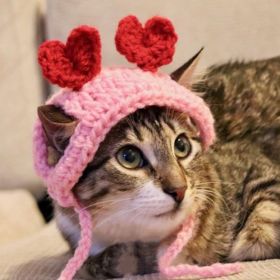 Hand-woven Pet Cat Head Cover (Option: Picture Color-Cat Style)